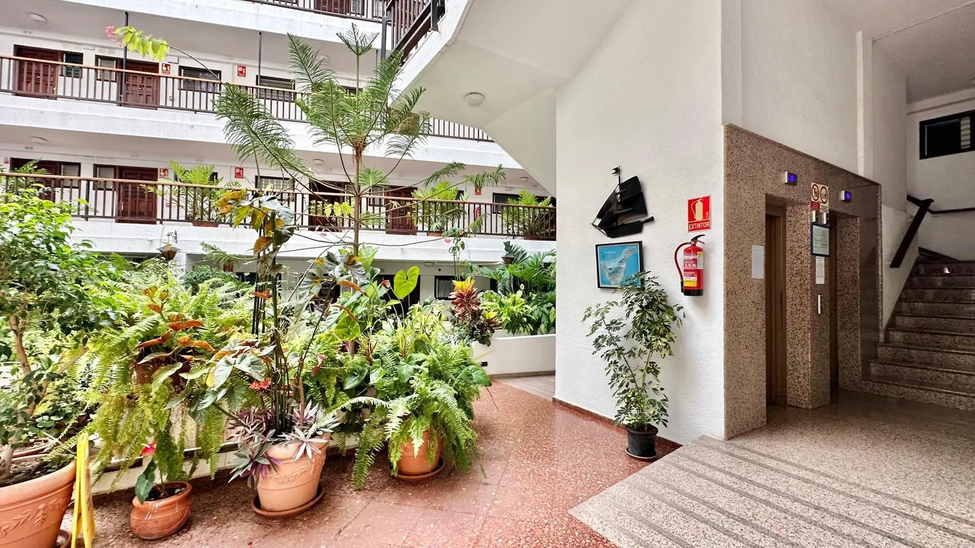 First Line Attic - Adults Only - Daire Puerto de la Cruz  0*, Puerto de la Cruz (Tenerife)